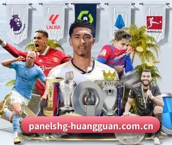 皇冠体育 APP