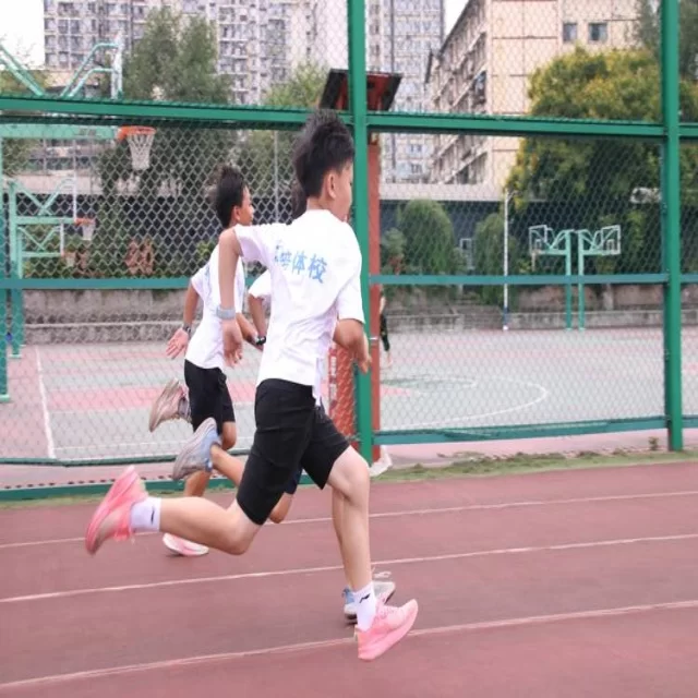足球杯赛焦点对决解析：第218组阵容深度透视